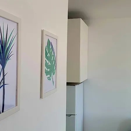 Apartment Ocean & Port View Tajao